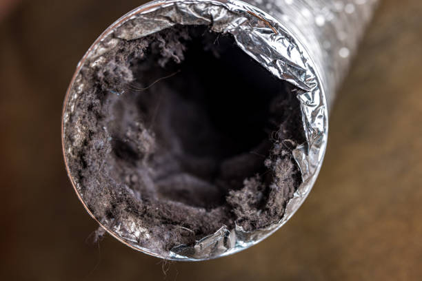 Best HVAC Duct Inspection Services  in Alum Rock, CA